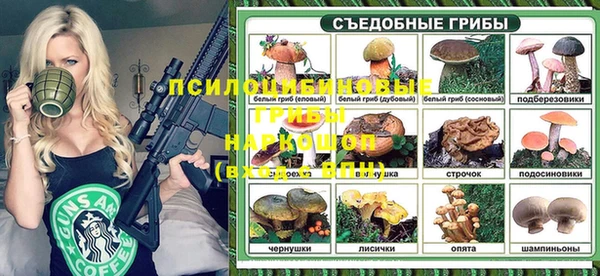 гидра Аркадак