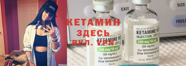 гидра Аркадак