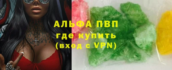 гидра Аркадак