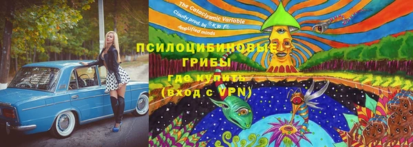 дмт Арсеньев