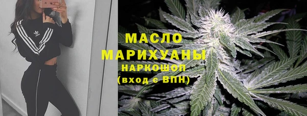гидра Аркадак