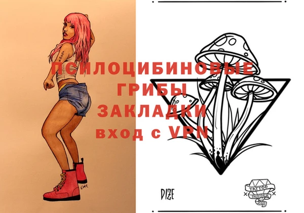 дмт Арсеньев