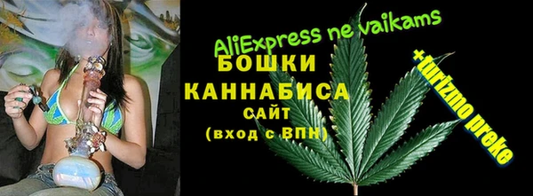гидра Аркадак