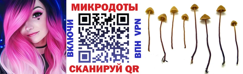 Галлюциногенные грибы ЛСД Ялта
